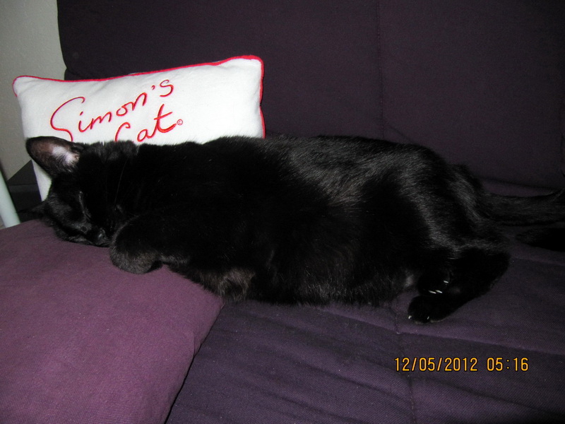 2012-05-12 Chiens chelous_l.jpg